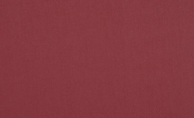 Crimson Red Shirt