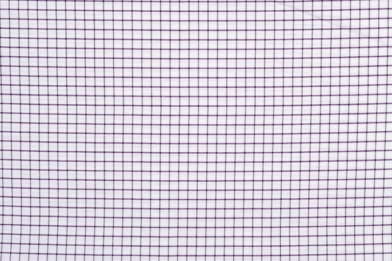 Summer Oxford: Purple White Checks