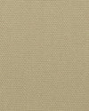 Brisbane Moss Cream Canvas