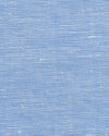 Carolina blaues Chambray-Hemd