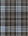 Summer Brown Grey Plaid