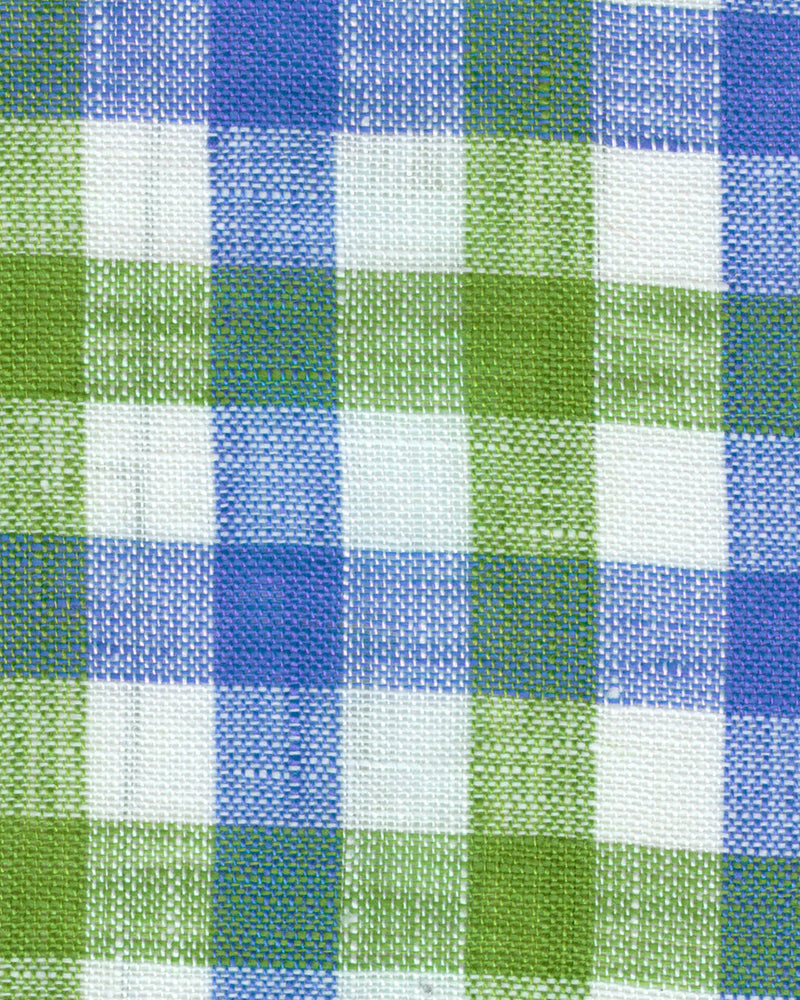 Grün-blaues Gingham-Hemd