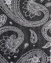 Paisley Denim Wabash