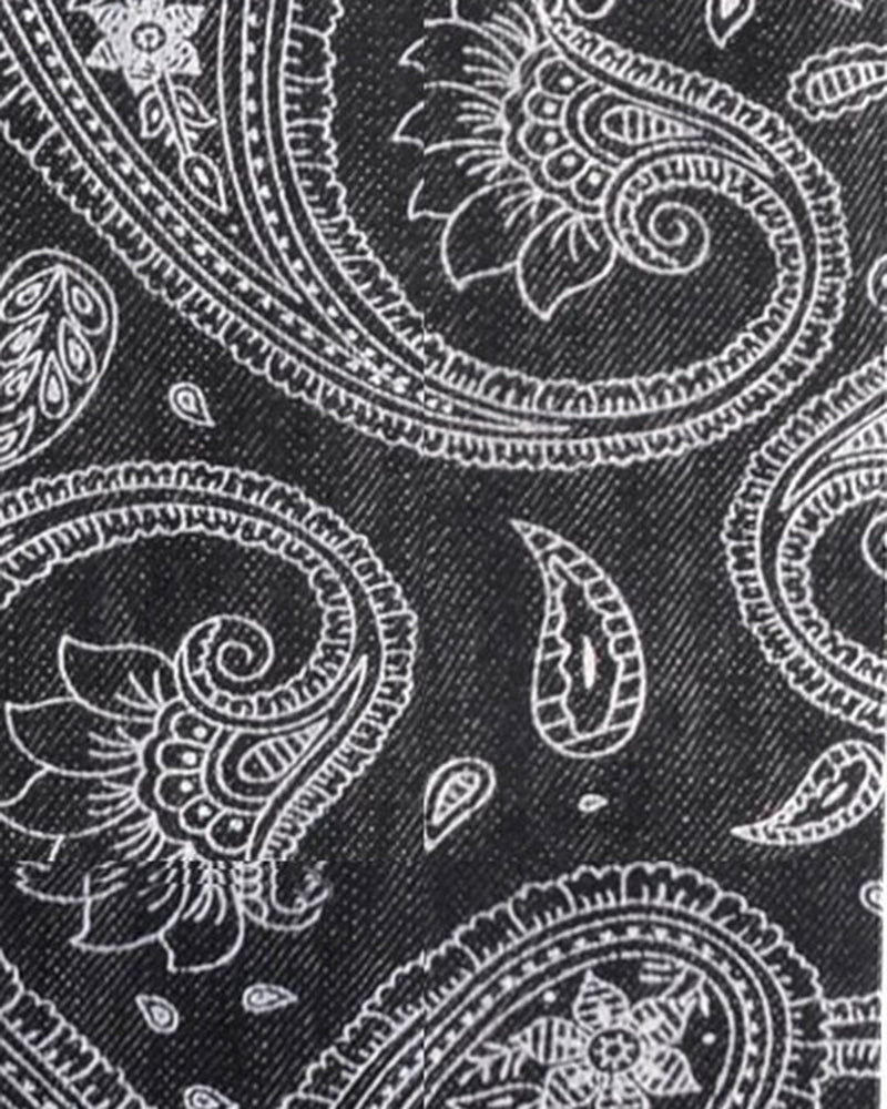Paisley Denim Wabash