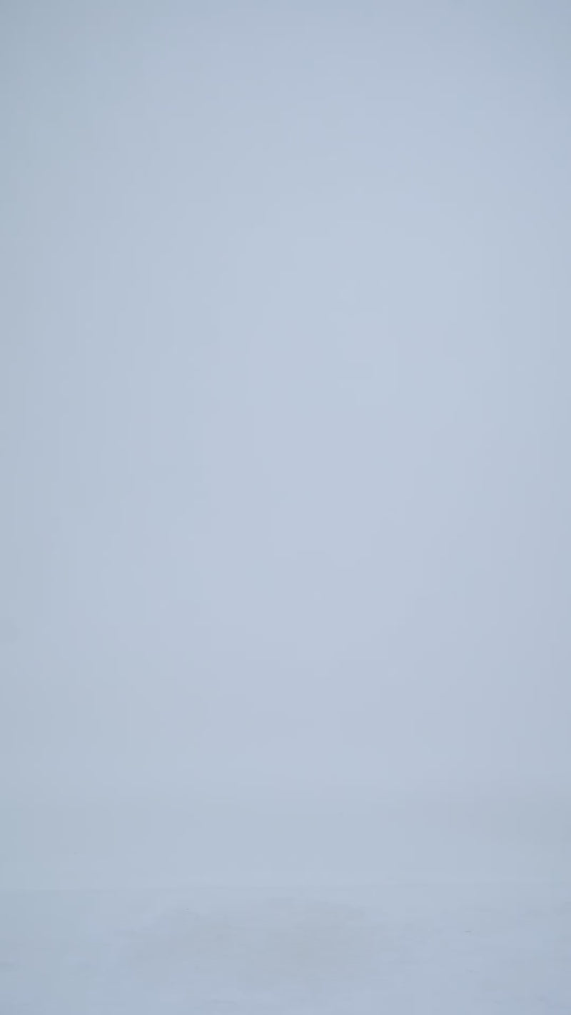 Linen Cotton Canvas: Cream Pant